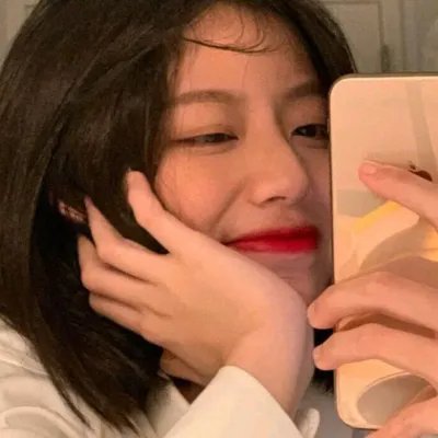 几度菊花香
